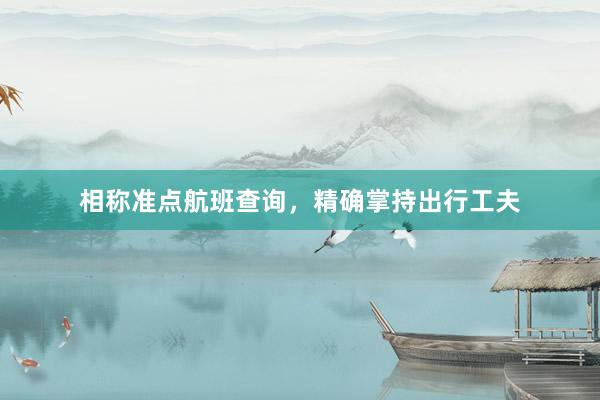 相称准点航班查询,精确掌持出行工夫