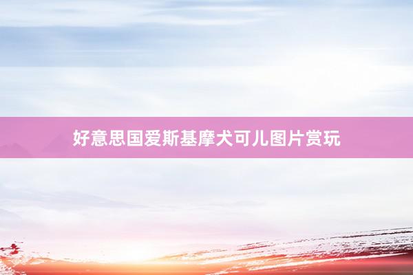好意思国爱斯基摩犬可儿图片赏玩